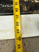 Load image into Gallery viewer, 2002 The Buzzhorn Disconnected Album Promo Poster (18x24)