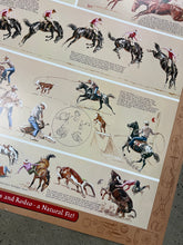 Load image into Gallery viewer, Vintage 1981 Wrangler Professional Rodeo Cowboys Association Big Poster (24x37inch)