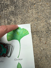 Load image into Gallery viewer, Vintage 80s Smokey Bear Leaves Poster (19x28.5)