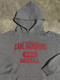 Vintage Carl Sandberg College Baseball Russell Athletic Hoodie (XL)