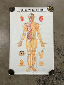 Vintage 1973 Acupuncture Diagram Poster (24.5x38inch)