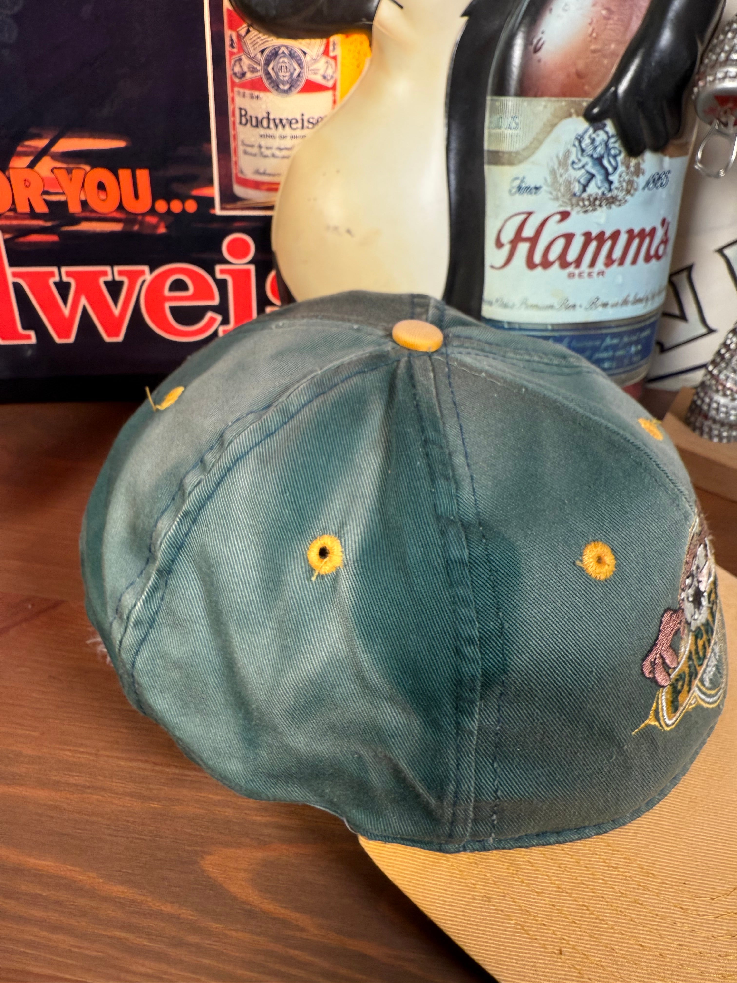 Vintage 90s Packers Taz Faded Snapback Hat