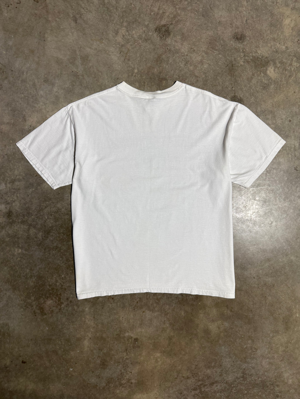 Vintage The Great Outdoors Alaska Tee (XL)