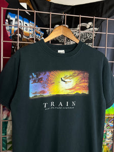 2004 Train My Private Nation Concert Tee (M)