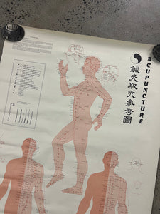 Vintage 1973 Acupuncture Chart (25x38inch)