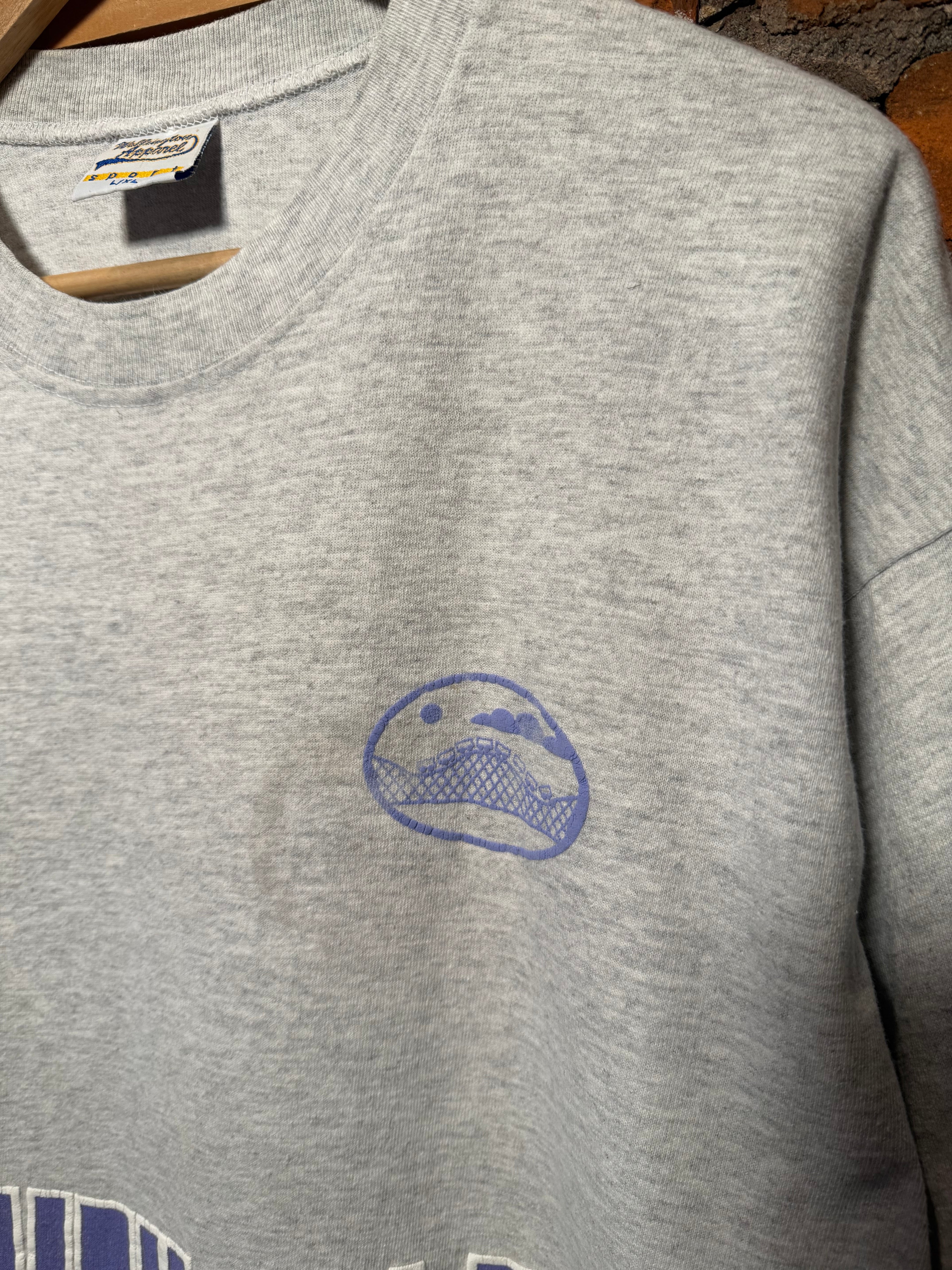 Vintage 90s Dorney Park Puffy Print Tee (XL)