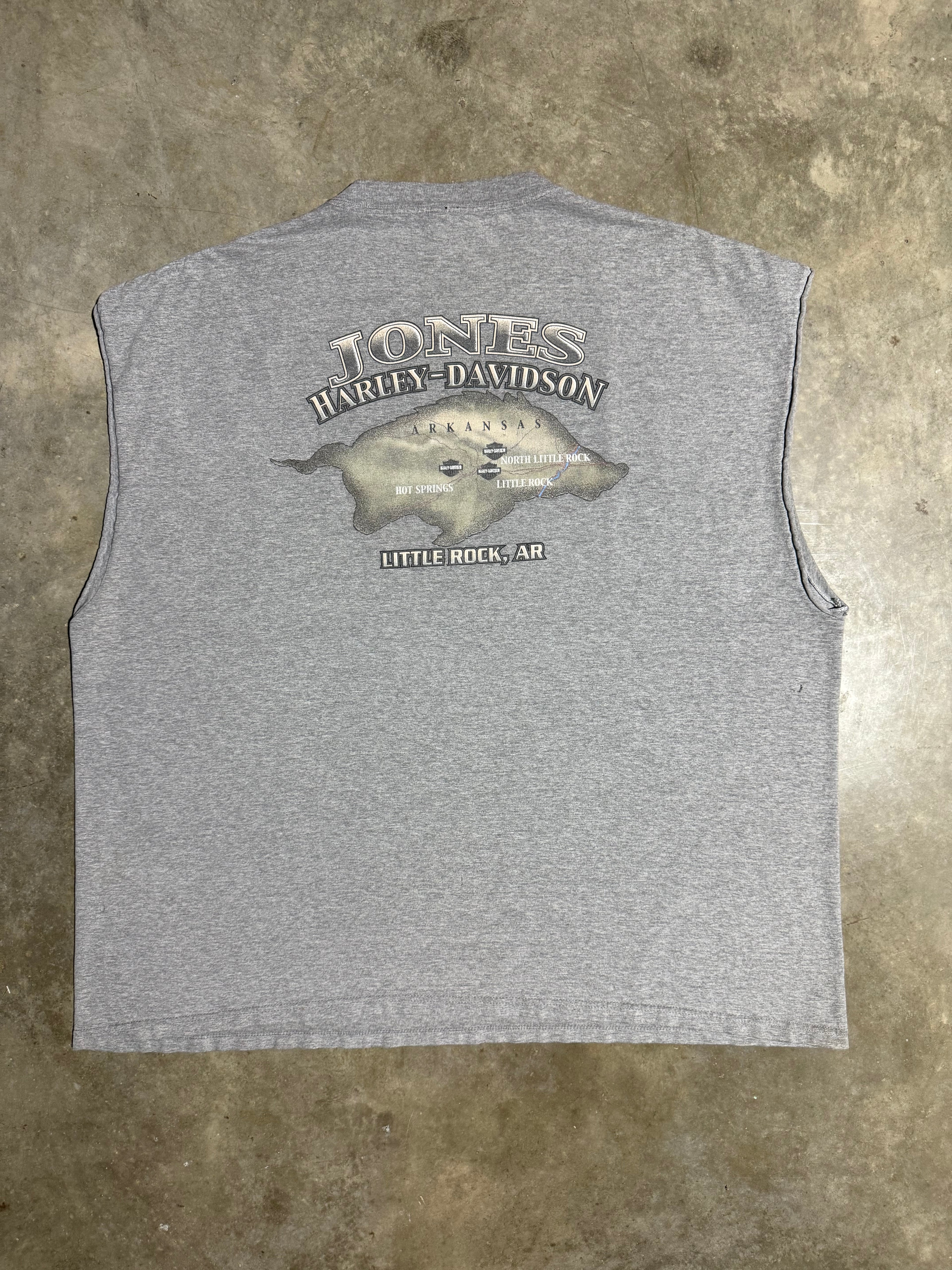 Lot of 2 Vintage Distressed Harley/Biker Shirts (3XL)