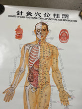 Load image into Gallery viewer, Vintage 1973 Acupuncture Diagram Poster (24.5x38inch)
