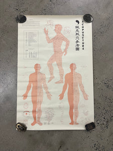 Vintage 1973 Acupuncture Chart (25x38inch)