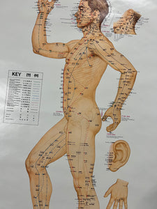 Vintage 70s Acupuncture Chart (24.5x37.5inch)