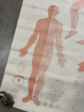 Load image into Gallery viewer, Vintage 1973 Acupuncture Chart (25x38inch)
