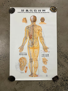 Vintage 70s Acupuncture Chart (24.5x38inch)