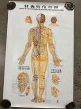 Load image into Gallery viewer, Vintage 70s Acupuncture Chart (24.5x38inch)
