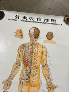 Vintage 70s Acupuncture Chart (24.5x38inch)