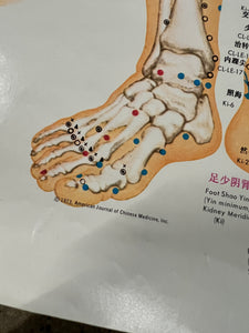 Vintage 1973 Acupuncture Diagram Poster (24.5x38inch)