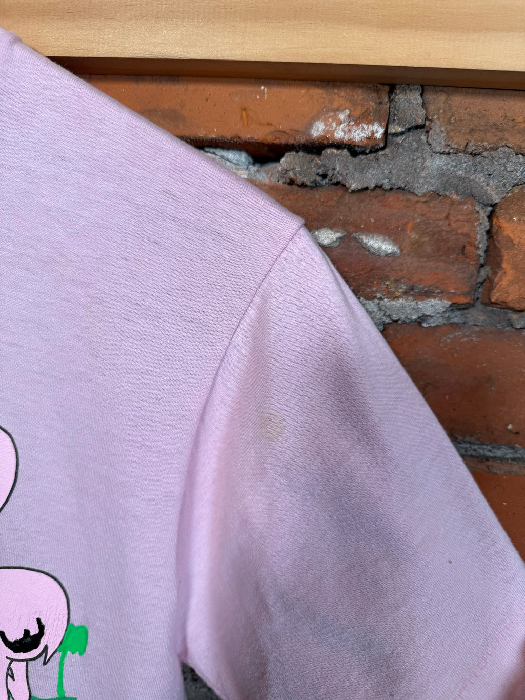 Vintage Flamingos and Duck Tee (WS)
