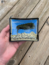 Load image into Gallery viewer, Vintage Aruba Divi-Divi Tree Ashtray
