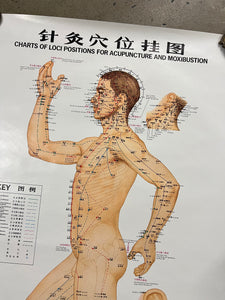 Vintage 70s Acupuncture Chart (24.5x37.5inch)