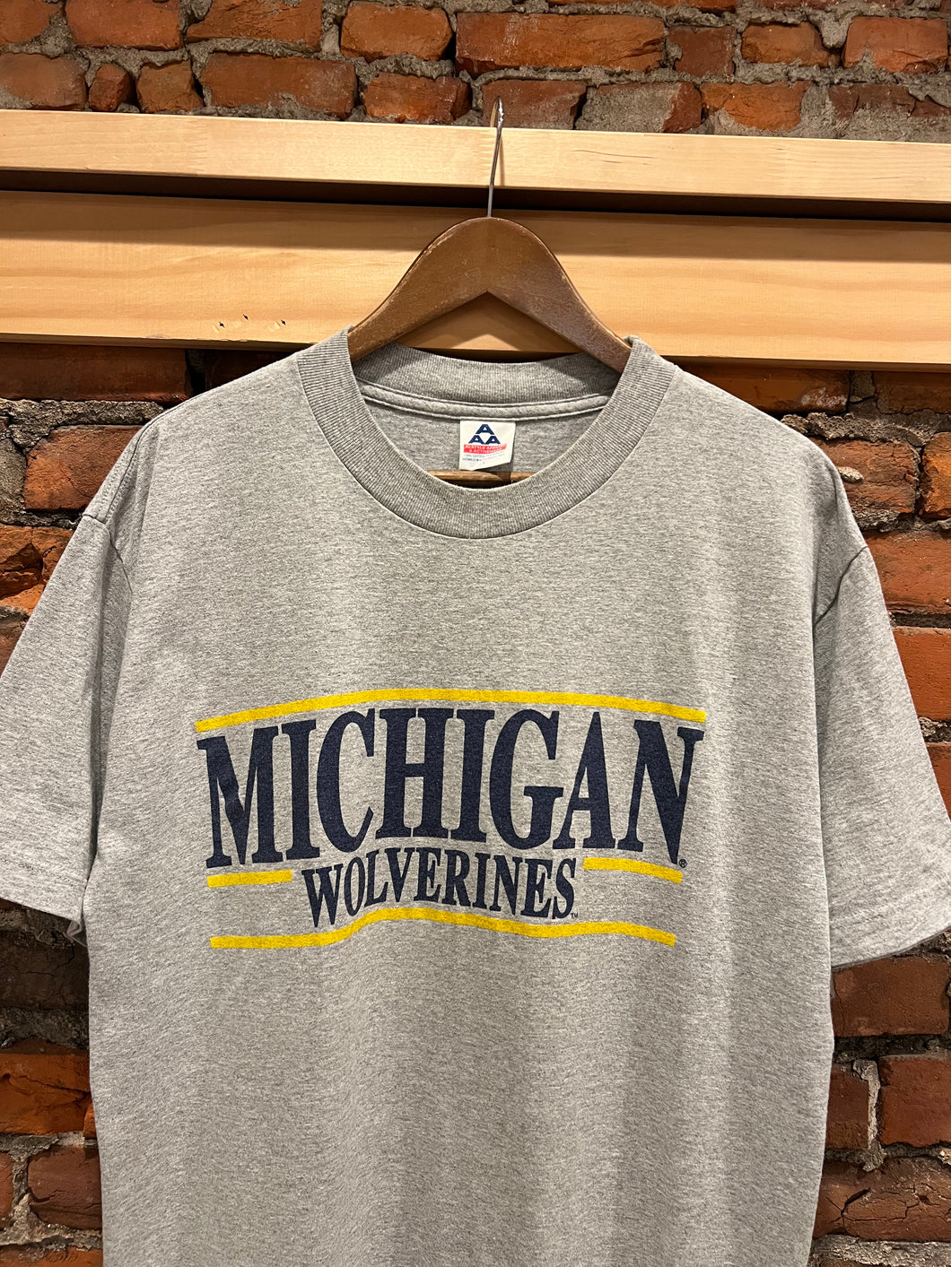 Vintage 90s Michigan Wolverines Tee (L)