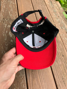 Vintage Dale Earnhardt #3 Hat