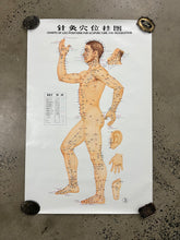 Load image into Gallery viewer, Vintage 70s Acupuncture Chart (24.5x37.5inch)
