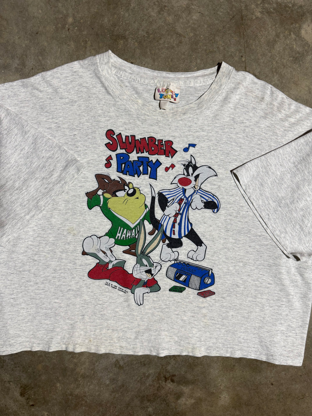 Vintage 1994 Looney Tunes Slumber Party Cropped Shirt (Cropped XXL)