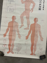 Load image into Gallery viewer, Vintage 1973 Acupuncture Chart (25x38inch)
