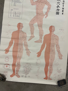 Vintage 1973 Acupuncture Chart (25x38inch)