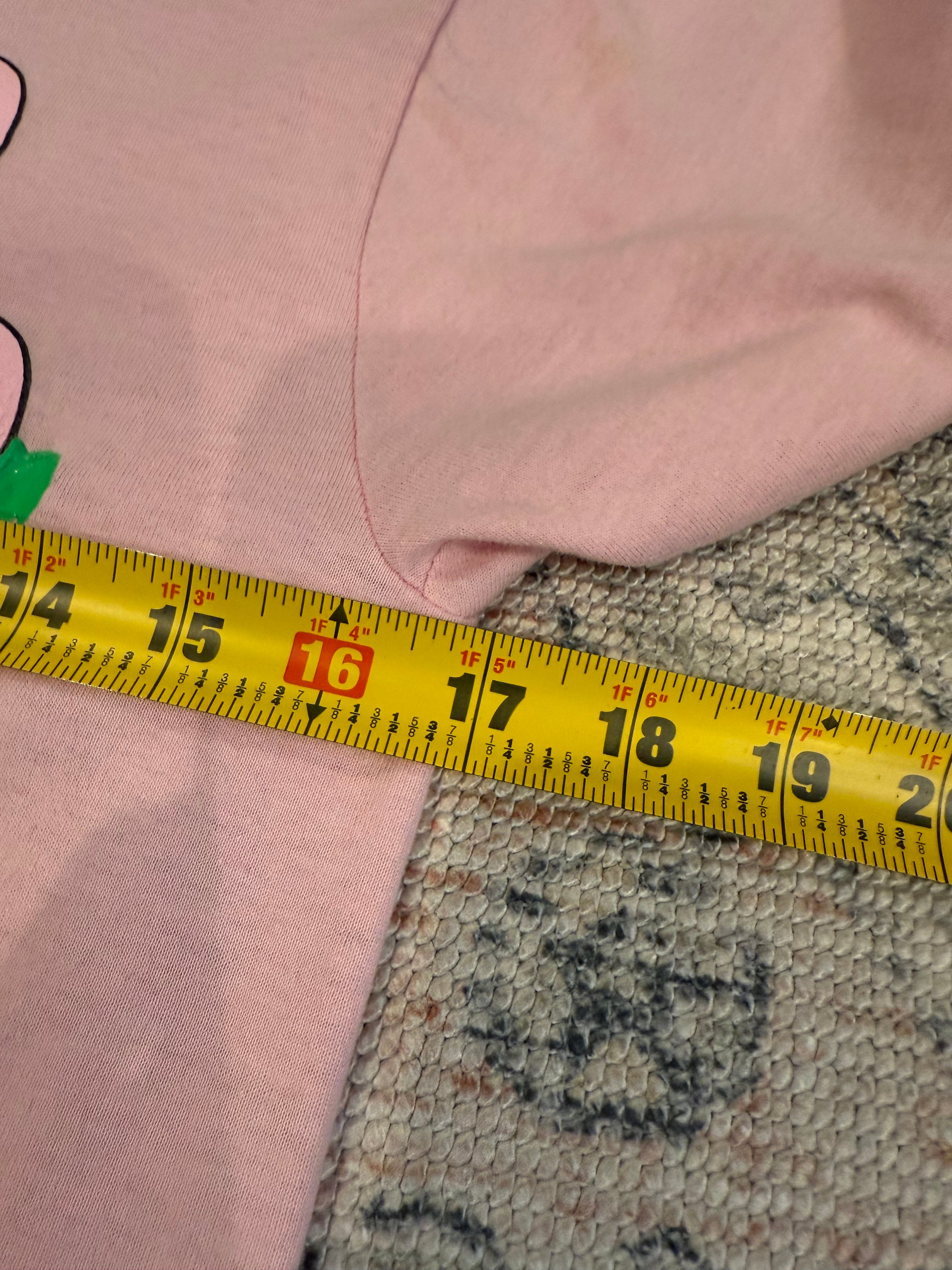 Vintage Flamingos and Duck Tee (WS)