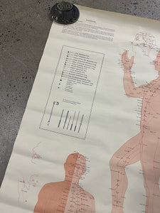 Vintage 1973 Acupuncture Chart (25x38inch)