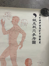 Load image into Gallery viewer, Vintage 1973 Acupuncture Chart (25x38inch)
