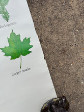 Load image into Gallery viewer, Vintage 80s Smokey Bear Leaves Poster (19x28.5)
