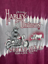Load image into Gallery viewer, Vintage Harley Biker Armadillo Cutoff Shirt (2XL)
