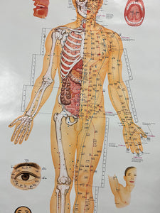 Vintage 1973 Acupuncture Diagram Poster (24.5x38inch)