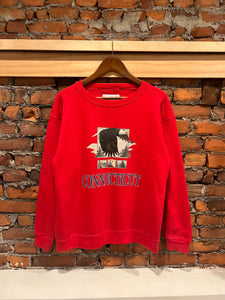 Vintage Connecticut Eagle Crewneck (M)