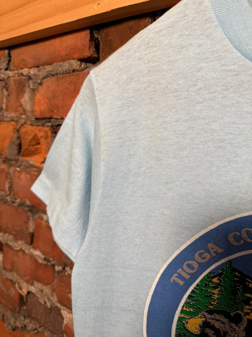 Vintage 80s Canyon Country Bear T-Shirt (S)