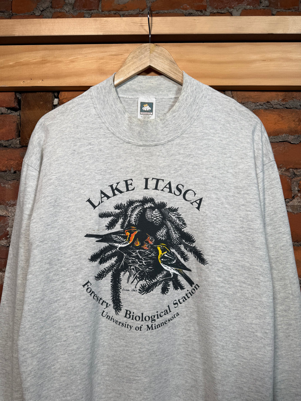 Vintage Lake Itasca Mock Neck Shirt (L)