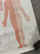 Load image into Gallery viewer, Vintage 1973 Acupuncture Chart (25x38inch)
